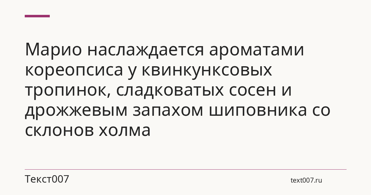 Марио наслаждается ароматами кореопсиса у квинкунксовых тропинок, сладковатых сосен и дрожжевым запахом шиповника со склонов холма