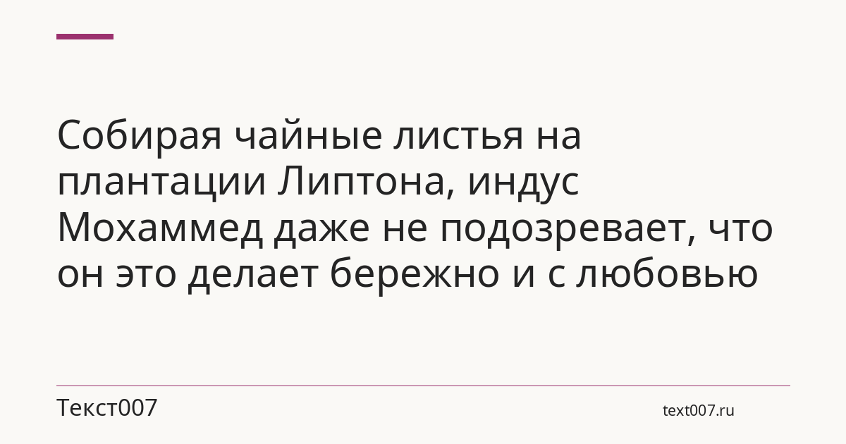 Собирая чайные листья на плантации Липтона, индус Мохаммед даже не подозревает, что он это делает бережно и с любовью